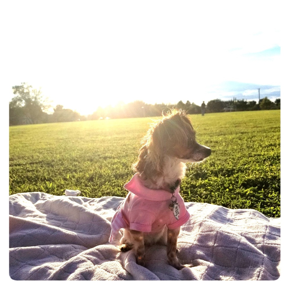 Meet your Posher, Nancy